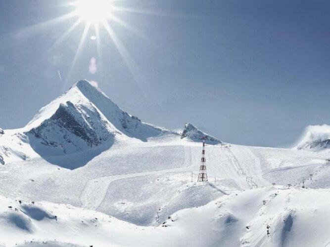 Bright Flat Close To The Ski Area Piesendorf Bagian luar foto